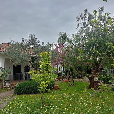 מלון Lanuvio La Casa Di Fede מראה חיצוני תמונה