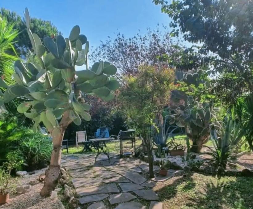 מלון Lanuvio La Casa Di Fede מראה חיצוני תמונה