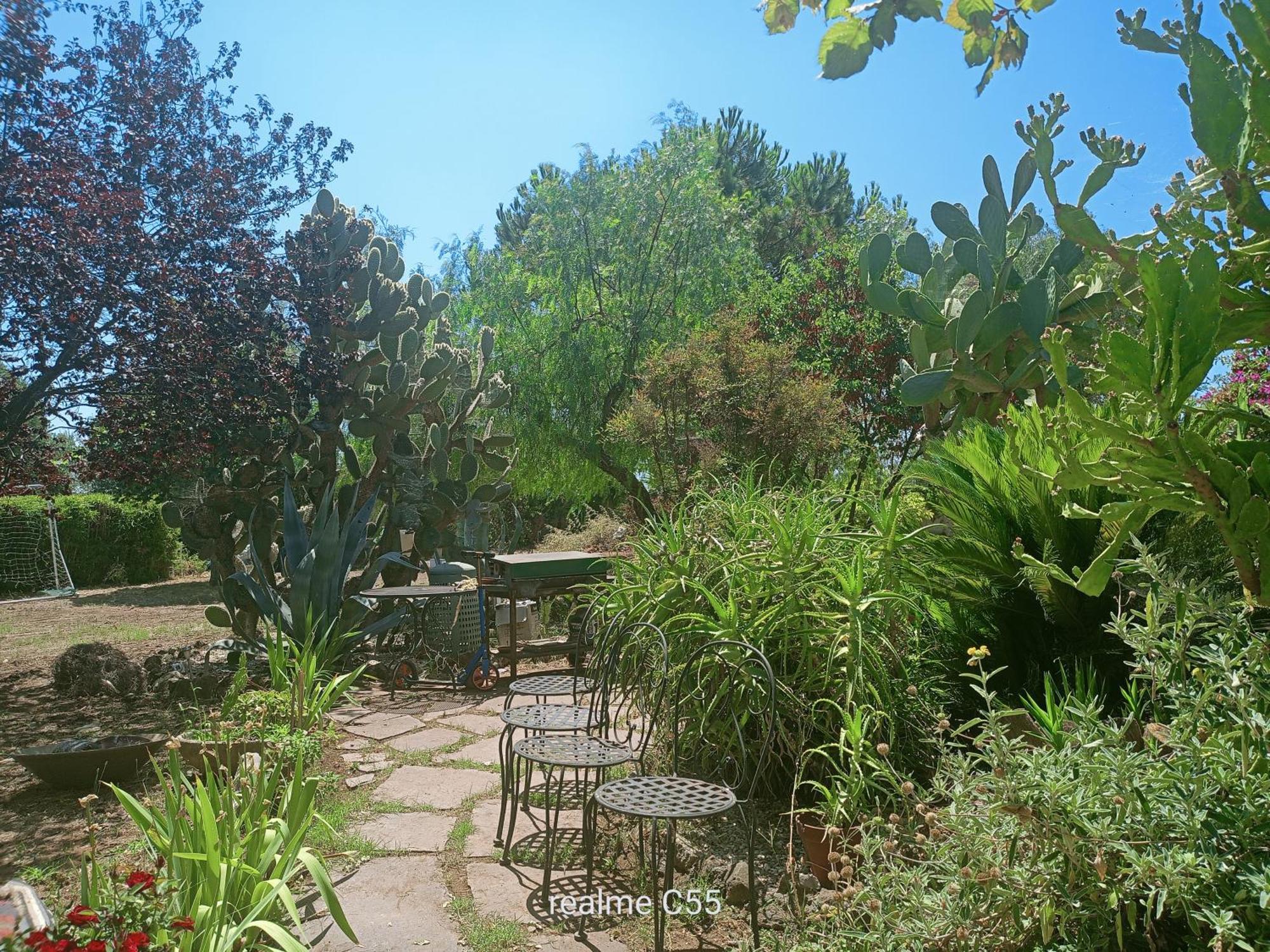 מלון Lanuvio La Casa Di Fede מראה חיצוני תמונה